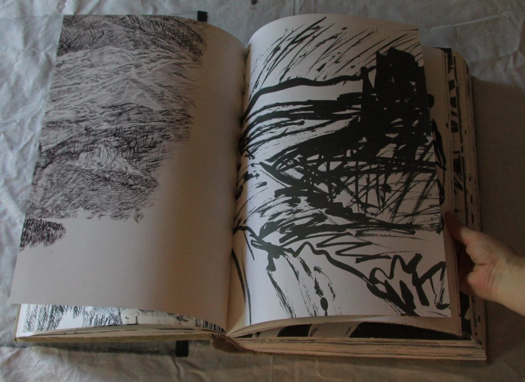 landscape paintings, artist book by idun baltzersen 2012