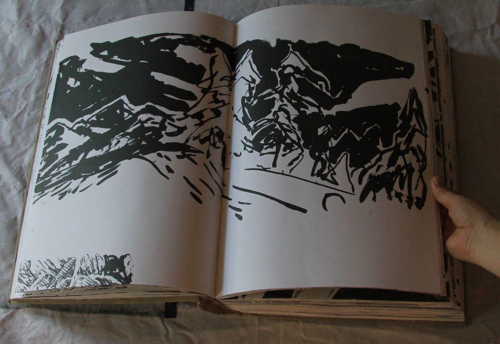 landscape paintings, artist book by idun baltzersen 2012