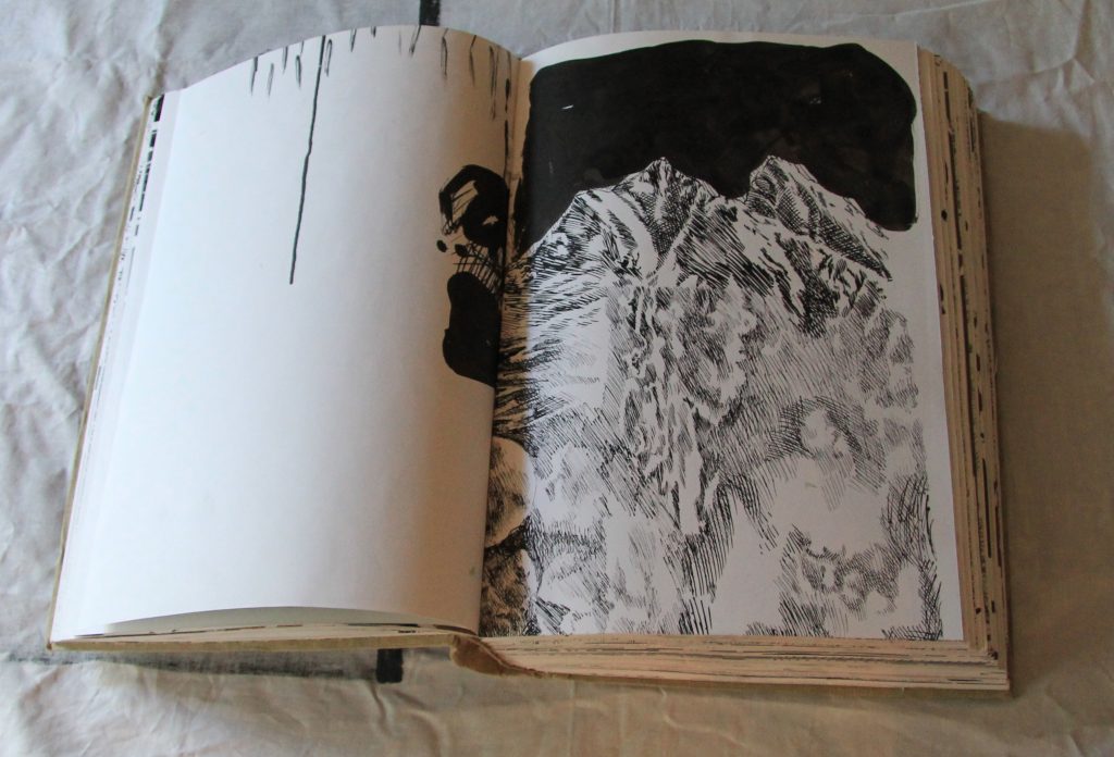 landscape paintings, artist book by idun baltzersen 2012