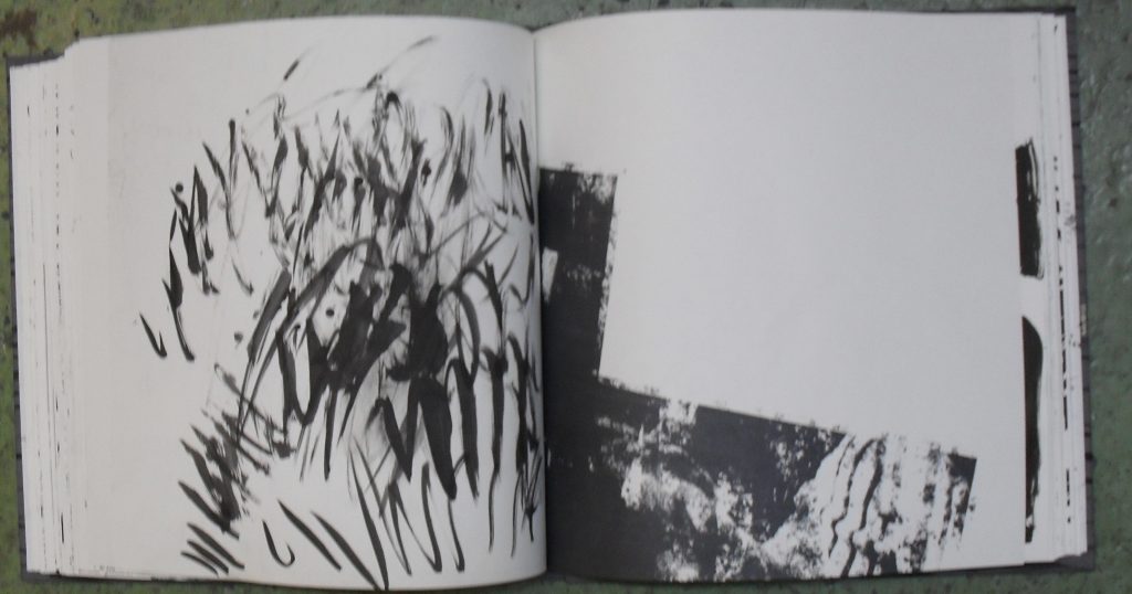 untitled, artist book by idun baltzersen, ink and screen print on paper