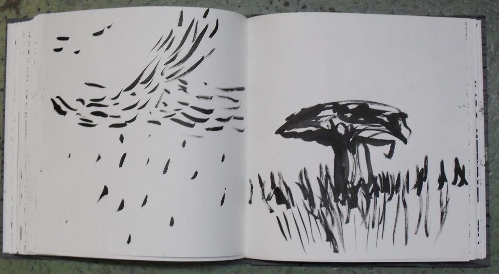 untitled, artist book by idun baltzersen, ink and screen print on paper